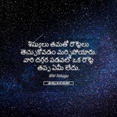 Picture 05 - మార్కు 8:14 TELIRV - శిష్యులు తమతో - Bible Verse Picture