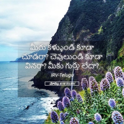Picture 05 - మార్కు 8:18 TELIRV - మీరు కళ్ళుండి - Bible Verse Picture