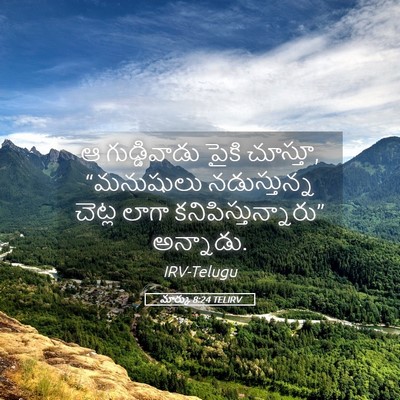 Picture 05 - మార్కు 8:24 TELIRV - ఆ గుడ్డివాడు పైకి - Bible Verse Picture