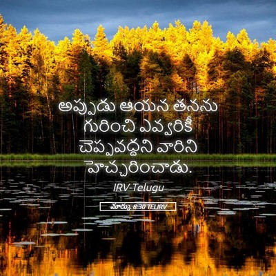 Picture 05 - మార్కు 8:30 TELIRV - అప్పుడు ఆయన తనను - Bible Verse Picture