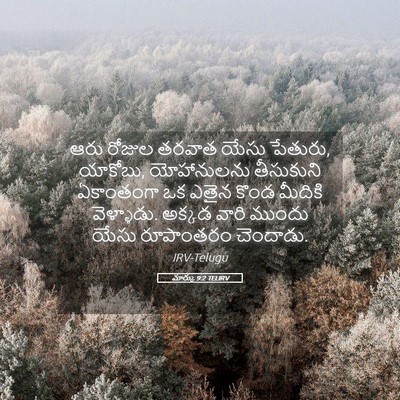 Picture 05 - మార్కు 9:2 TELIRV - ఆరు రోజుల తరవాత - Bible Verse Picture