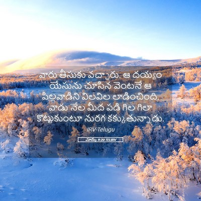 Picture 05 - మార్కు 9:20 TELIRV - వారు తీసుకు - Bible Verse Picture