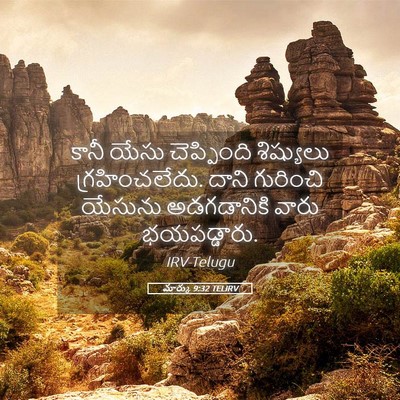 Picture 05 - మార్కు 9:32 TELIRV - కానీ యేసు - Bible Verse Picture