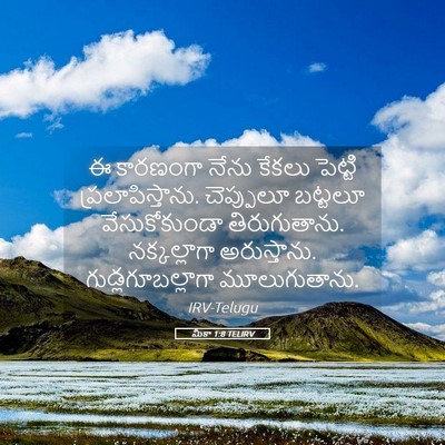 Picture 05 - మీకా 1:8 TELIRV - ఈ కారణంగా నేను - Bible Verse Picture