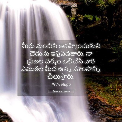 Picture 05 - మీకా 3:2 TELIRV - మీరు మంచిని - Bible Verse Picture