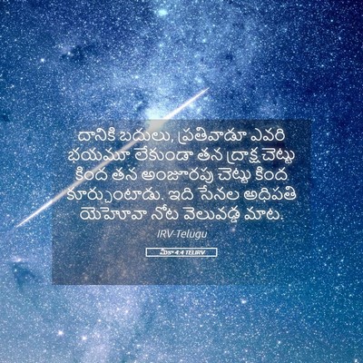 Picture 05 - మీకా 4:4 TELIRV - దానికి బదులు, - Bible Verse Picture