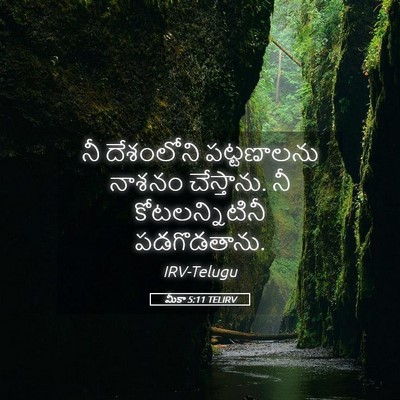 Picture 05 - మీకా 5:11 TELIRV - నీ దేశంలోని - Bible Verse Picture