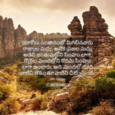 Picture 05 - మీకా 5:8 TELIRV - యాకోబు సంతానంలో - Bible Verse Picture