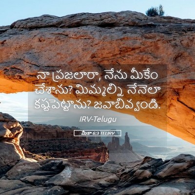 Picture 05 - మీకా 6:3 TELIRV - నా ప్రజలారా, నేను - Bible Verse Picture
