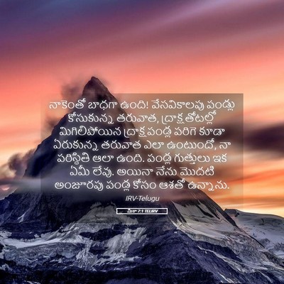 Picture 05 - మీకా 7:1 TELIRV - నాకెంతో బాధగా - Bible Verse Picture
