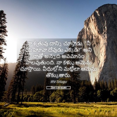 Picture 05 - మీకా 7:10 TELIRV - నా శత్రువు దాన్ని - Bible Verse Picture