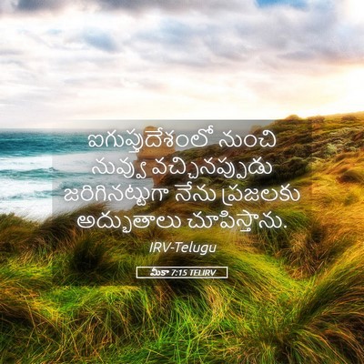 Picture 05 - మీకా 7:15 TELIRV - ఐగుప్తుదేశంలో - Bible Verse Picture