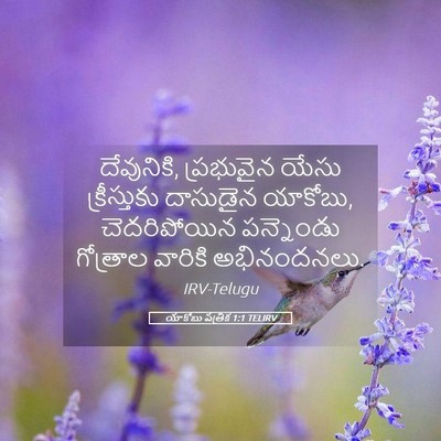 Picture 05 - యాకోబు పత్రిక 1:1 TELIRV - దేవునికి, - Bible Verse Picture
