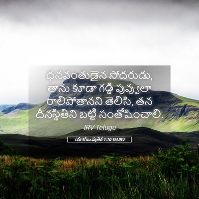 Picture 05 - యాకోబు పత్రిక 1:10 TELIRV - ధనవంతుడైన - Bible Verse Picture