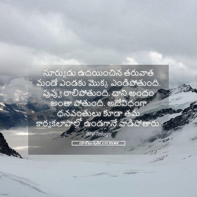Picture 05 - యాకోబు పత్రిక 1:11 TELIRV - సూర్యుడు ఉదయించిన - Bible Verse Picture