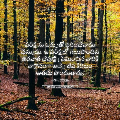 Picture 05 - యాకోబు పత్రిక 1:12 TELIRV - పరీక్షను ఓర్పుతో - Bible Verse Picture