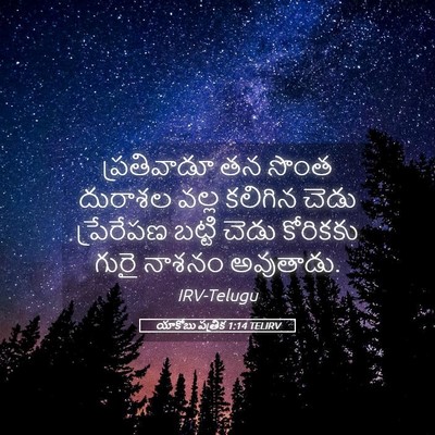 Picture 05 - యాకోబు పత్రిక 1:14 TELIRV - ప్రతివాడూ తన సొంత - Bible Verse Picture
