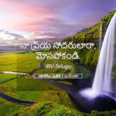 Picture 05 - యాకోబు పత్రిక 1:16 TELIRV - నా ప్రియ - Bible Verse Picture