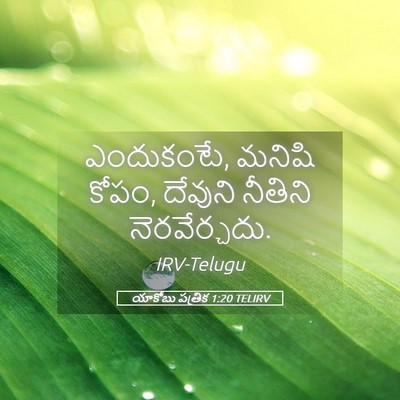 Picture 05 - యాకోబు పత్రిక 1:20 TELIRV - ఎందుకంటే, మనిషి - Bible Verse Picture