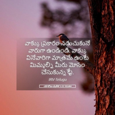 Picture 05 - యాకోబు పత్రిక 1:22 TELIRV - వాక్కు ప్రకారం - Bible Verse Picture