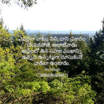 Picture 05 - యాకోబు పత్రిక 1:23 TELIRV - ఎవరైనా వాక్కు - Bible Verse Picture