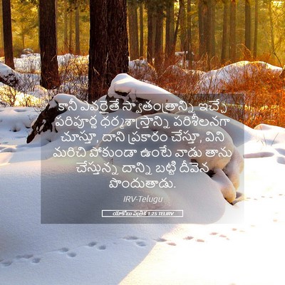Picture 05 - యాకోబు పత్రిక 1:25 TELIRV - కానీ ఎవరైతే - Bible Verse Picture