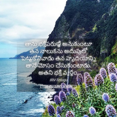 Picture 05 - యాకోబు పత్రిక 1:26 TELIRV - తాను భక్తిపరుణ్ణి - Bible Verse Picture