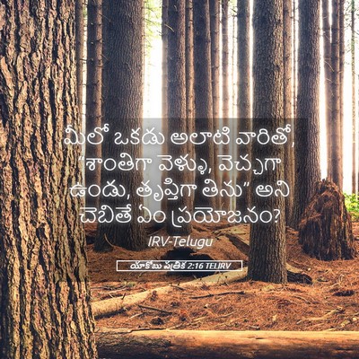 Picture 05 - యాకోబు పత్రిక 2:16 TELIRV - మీలో ఒకడు అలాటి - Bible Verse Picture
