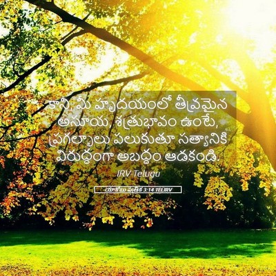 Picture 05 - యాకోబు పత్రిక 3:14 TELIRV - కాని, మీ హృదయంలో - Bible Verse Picture