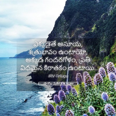 Picture 05 - యాకోబు పత్రిక 3:16 TELIRV - ఎక్కడైతే అసూయ, - Bible Verse Picture