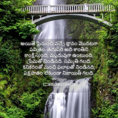 Picture 05 - యాకోబు పత్రిక 3:17 TELIRV - అయితే పైనుంచి - Bible Verse Picture