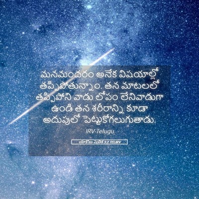 Picture 05 - యాకోబు పత్రిక 3:2 TELIRV - మనమందరం అనేక - Bible Verse Picture