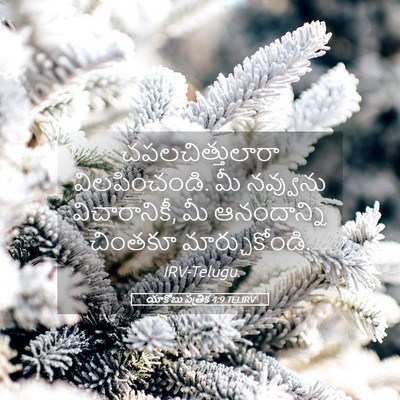 Picture 05 - యాకోబు పత్రిక 4:9 TELIRV - చపలచిత్తులారా - Bible Verse Picture