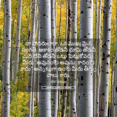 Picture 05 - యాకోబు పత్రిక 5:12 TELIRV - నా సోదరులారా, ఒక - Bible Verse Picture