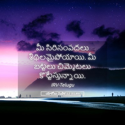 Picture 05 - యాకోబు పత్రిక 5:2 TELIRV - మీ సిరిసంపదలు - Bible Verse Picture