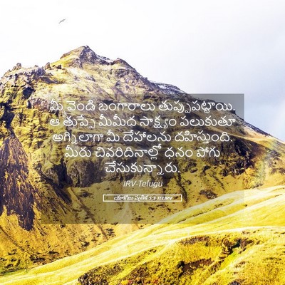 Picture 05 - యాకోబు పత్రిక 5:3 TELIRV - మీ వెండి బంగారాలు - Bible Verse Picture