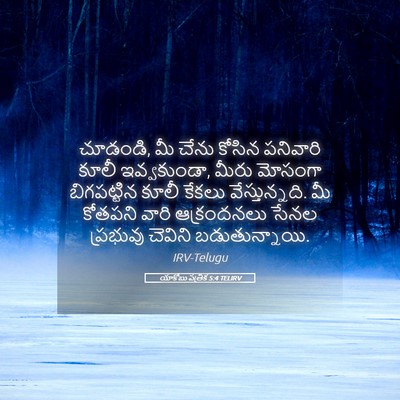 Picture 05 - యాకోబు పత్రిక 5:4 TELIRV - చూడండి, మీ చేను - Bible Verse Picture