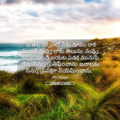 Picture 05 - యిర్మీయా 1:5 TELIRV - “నీ తల్లి గర్భంలో - Bible Verse Picture