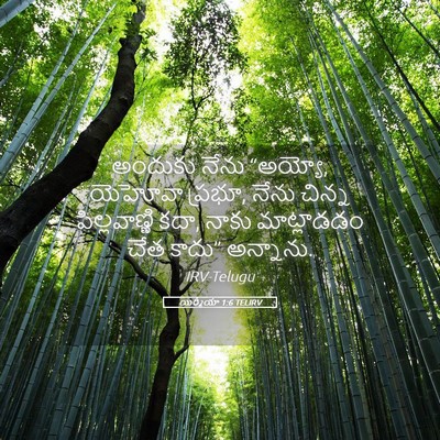 Picture 05 - యిర్మీయా 1:6 TELIRV - అందుకు నేను - Bible Verse Picture