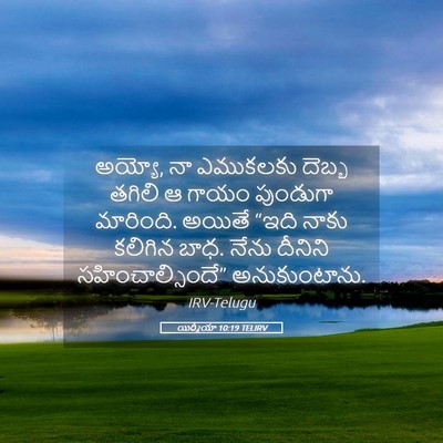 Picture 05 - యిర్మీయా 10:19 TELIRV - అయ్యో, నా ఎముకలకు - Bible Verse Picture