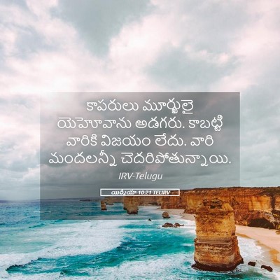 Picture 05 - యిర్మీయా 10:21 TELIRV - కాపరులు మూర్ఖులై - Bible Verse Picture