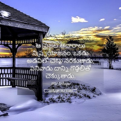 Picture 05 - యిర్మీయా 10:3 TELIRV - ఆ ప్రజల ఆచారాలు - Bible Verse Picture