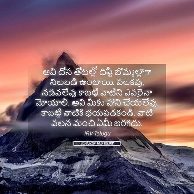 Picture 05 - యిర్మీయా 10:5 TELIRV - అవి దోస తోటల్లో - Bible Verse Picture