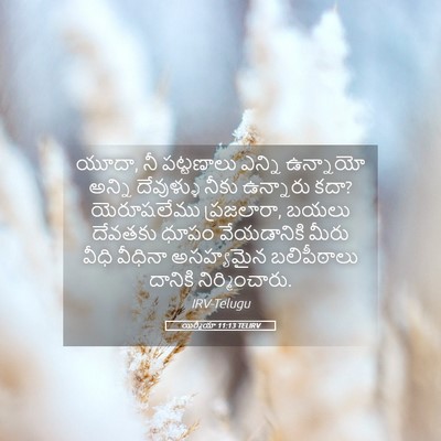 Picture 05 - యిర్మీయా 11:13 TELIRV - యూదా, నీ పట్టణాలు - Bible Verse Picture