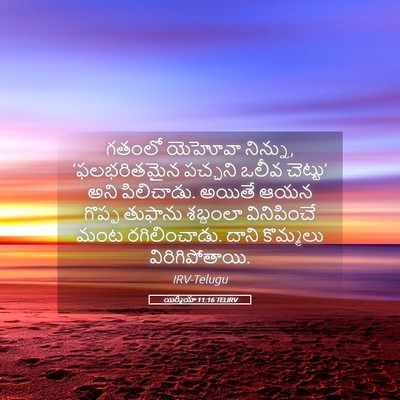 Picture 05 - యిర్మీయా 11:16 TELIRV - గతంలో యెహోవా - Bible Verse Picture