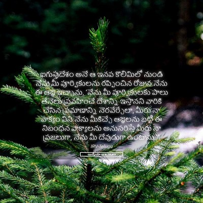 Picture 05 - యిర్మీయా 11:4 TELIRV - ఐగుప్తుదేశం అనే ఆ - Bible Verse Picture