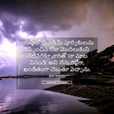 Picture 05 - యిర్మీయా 11:7 TELIRV - ఐగుప్తులో నుండి - Bible Verse Picture