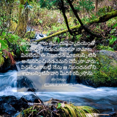 Picture 05 - యిర్మీయా 11:8 TELIRV - అయినా వారు తమ - Bible Verse Picture
