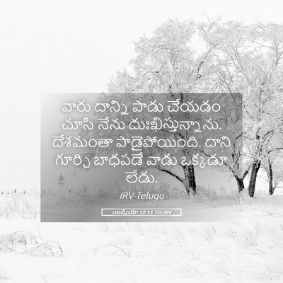 Picture 05 - యిర్మీయా 12:11 TELIRV - వారు దాన్ని పాడు - Bible Verse Picture