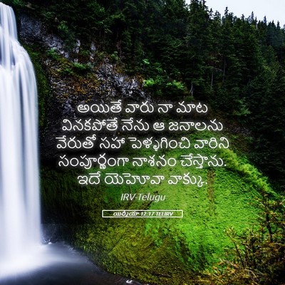 Picture 05 - యిర్మీయా 12:17 TELIRV - అయితే వారు నా మాట - Bible Verse Picture